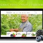Fresh Food - Organic Food/Fruit/Vegetables eCommerce HTML Template